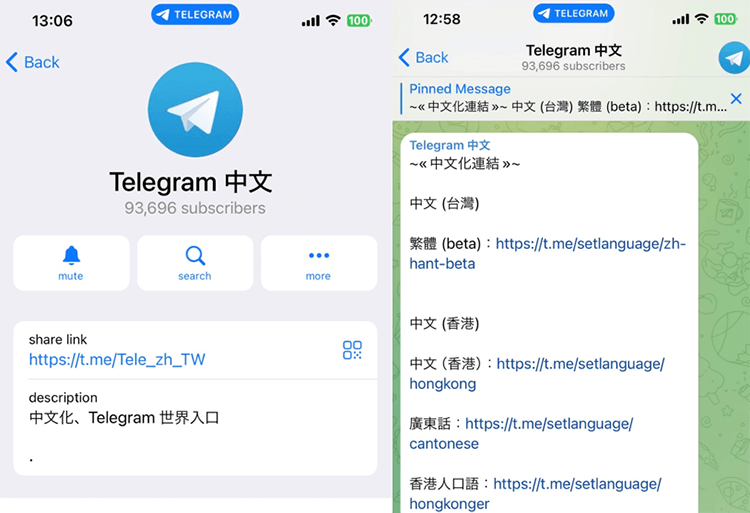 Telegram中文